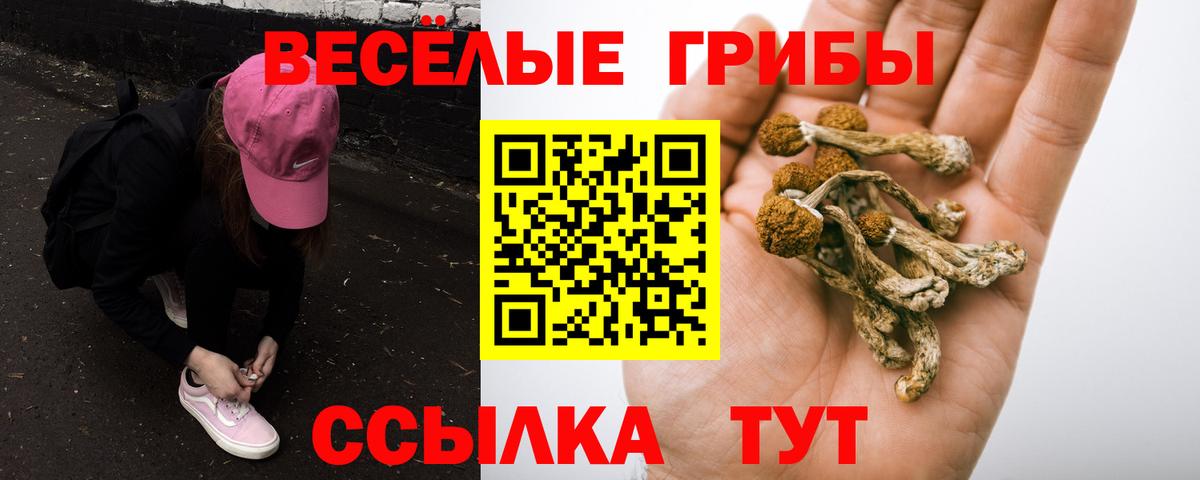 Лабытнанги  Псилоцибиновые грибы Psilocybe  хочу наркоту  Вход с VPN 